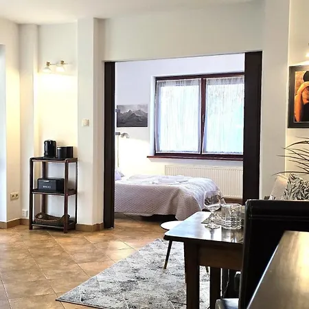 Vip Apartamenty Sienkiewicza Zakopane Exterior photo