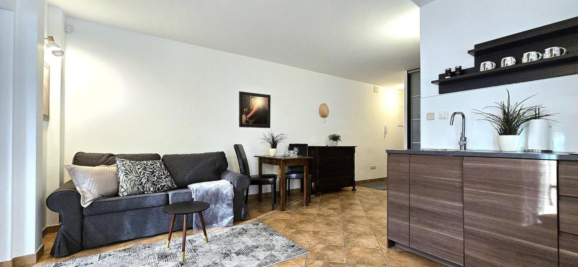 Vip Sienkiewicza Apartment